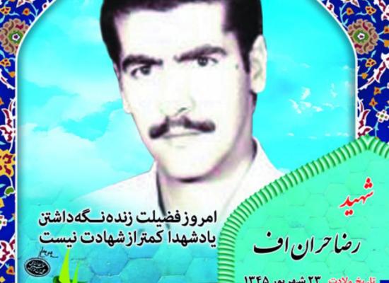 رضا حران‎اف