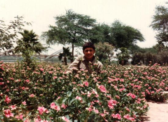 رضا منصوری