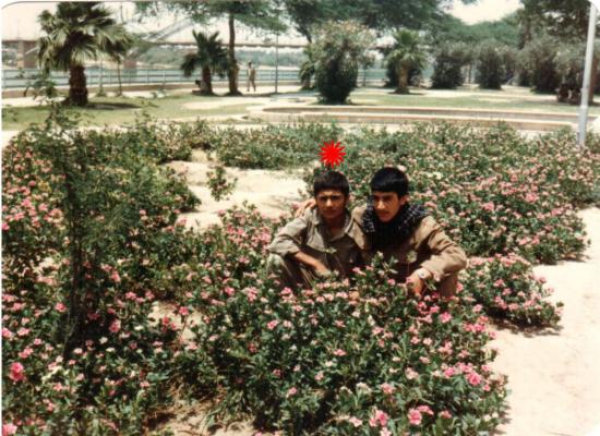 رضا منصوری
