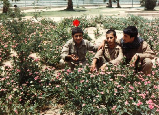 رضا منصوری