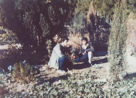 سعید معبودیان