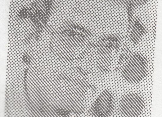 محمد سلیمانی