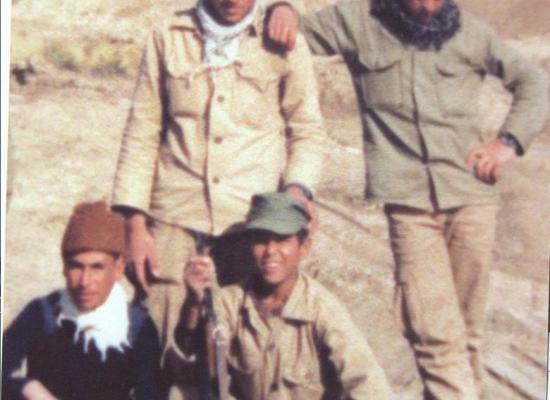 سیاوش حسنی