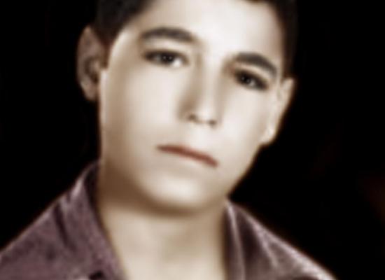 سیاوش حسنی