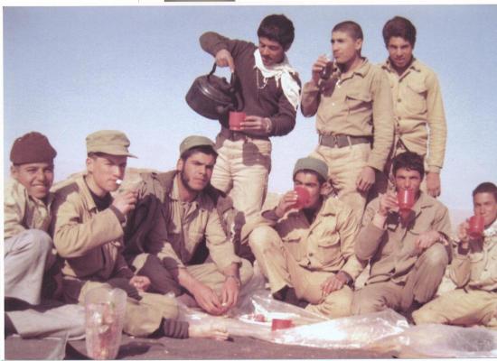 سیاوش حسنی