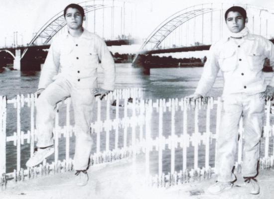 سیاوش حسنی
