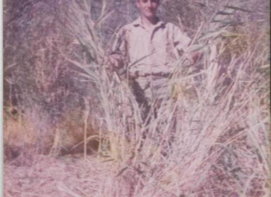 سید حسن حسینی