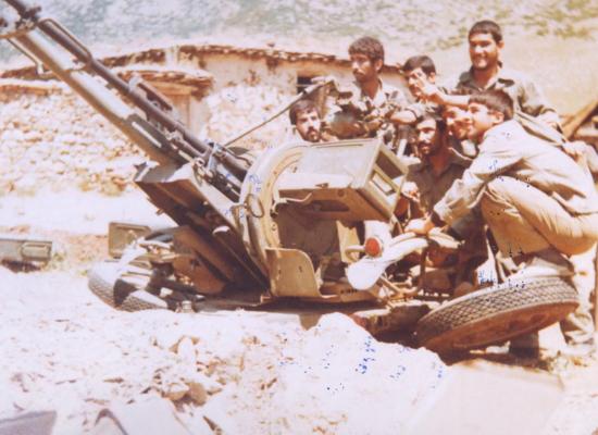 سید رضا میرجمالی