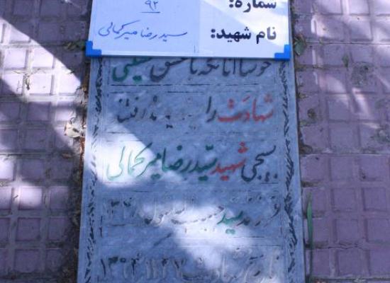 سید رضا میرکمالی