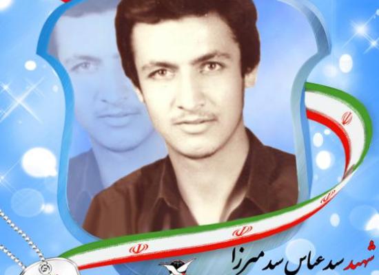 سید عباس سیدمیرزا