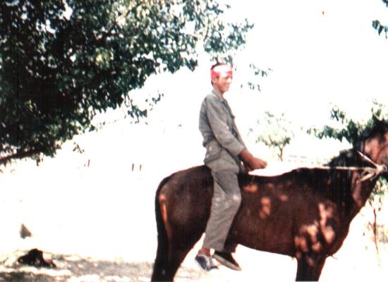 سید عبدالله حسینی