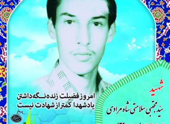سید مجتبی سلامتی شاهمرادی