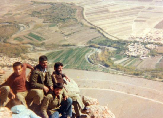 سید مجتبی سلامتی شاهمرادی