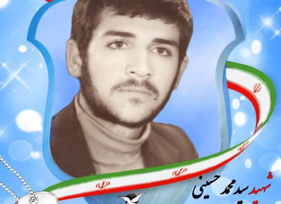 سید محمد حسینی