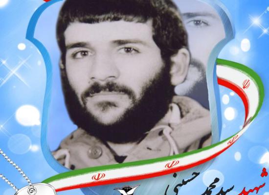 سید محمد حسینی