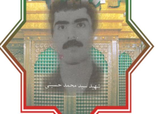 سید محمد حسینی