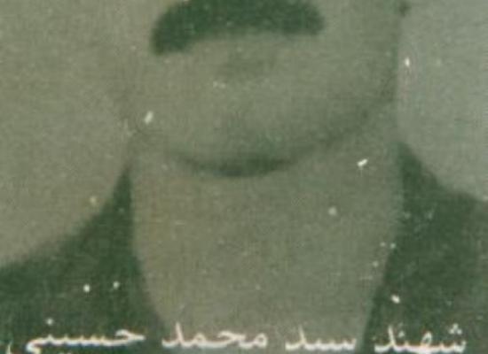سید محمد حسینی