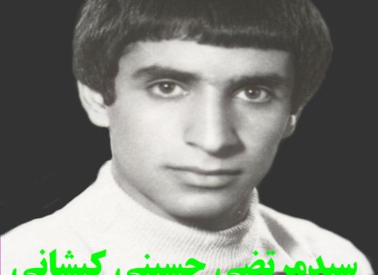 سید مرتضی حسینی کیشانی فراهانی