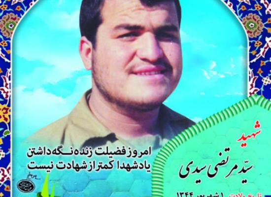 سید مرتضی سیدی
