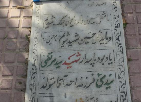 سید مرتضی سیدی