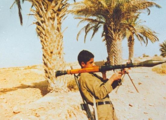 سید حسین علوی