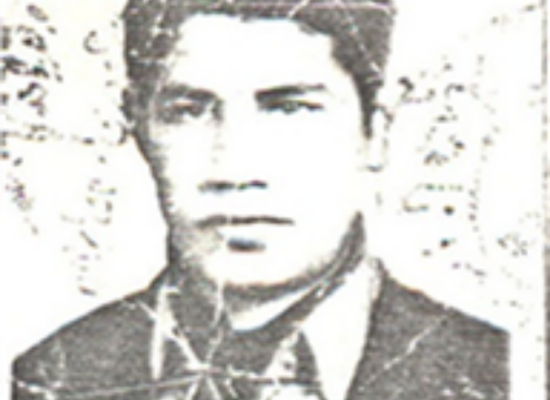 سید حمزه عنایتی