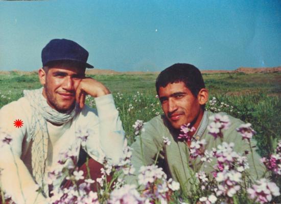 شهرام میرزایی