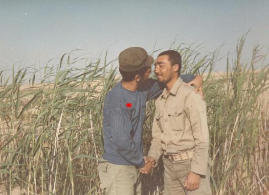 شهرام میرزایی