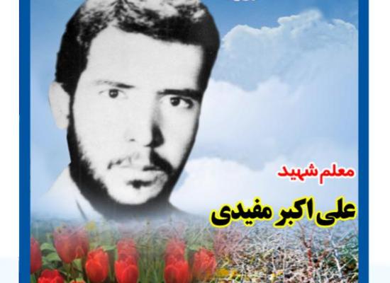 علی اکبر مفیدی