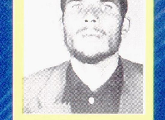 علی اکبر حسنی