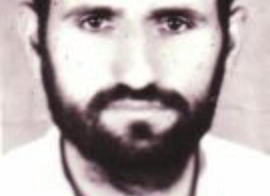 علی اکبر حمزه لو