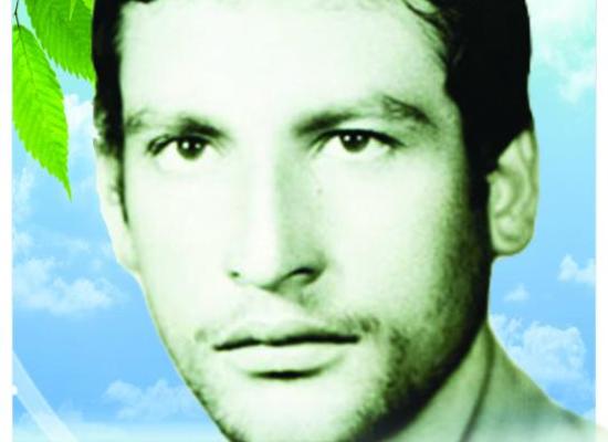 علی مولایی