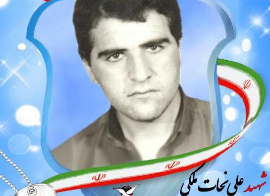 علی نجات ملکی