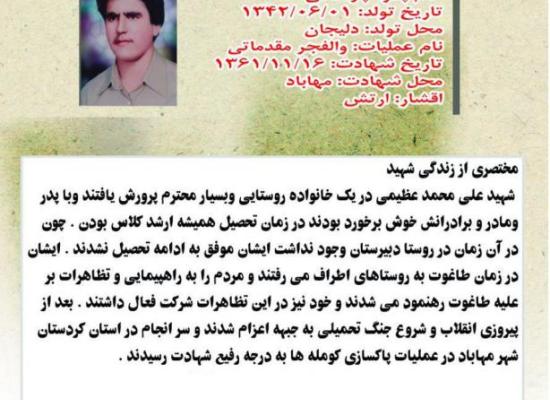 علی محمد عظیمی