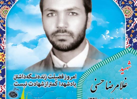 غلامرضا حسنی