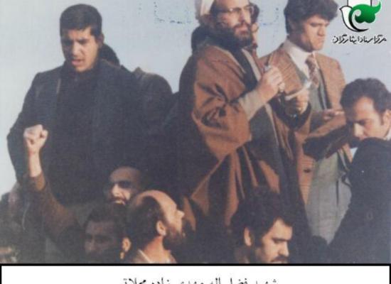 فضل الله مهدی زاده محلاتی