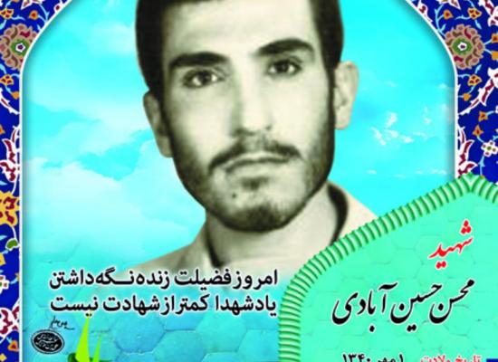 محسن حسین آبادی