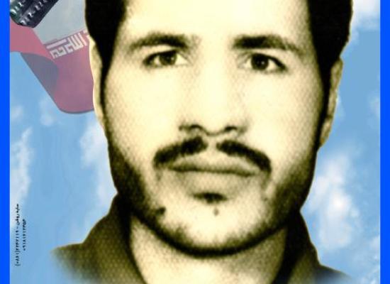 محسن ملکی ضامنجانی