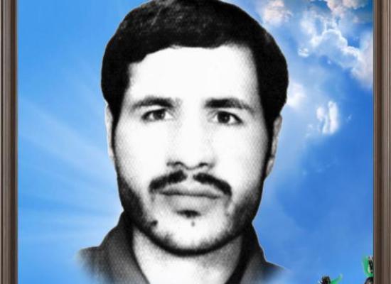 محسن ملکی ضامنجانی