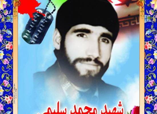 محمد سلیمی