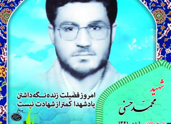محمد حسنی