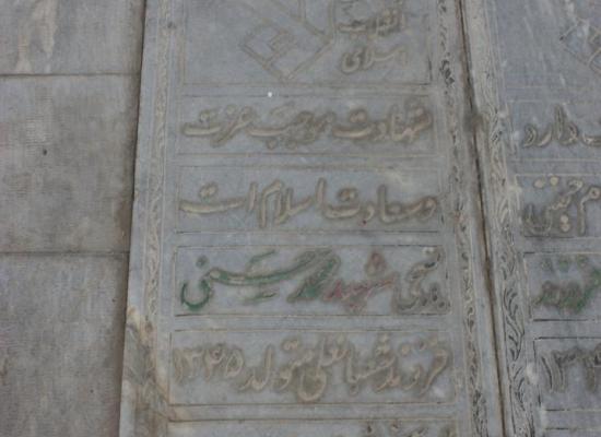 محمد حسنی