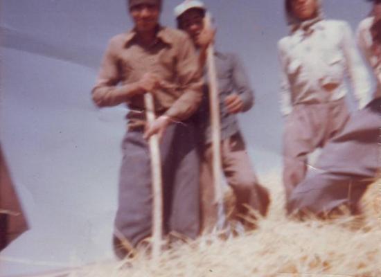 محمد فیض آبادی