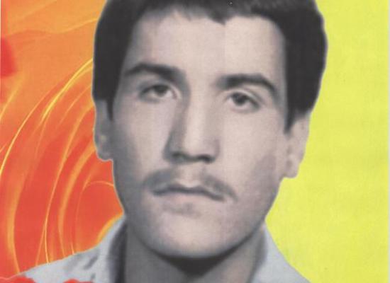 محمد میرزا خانی