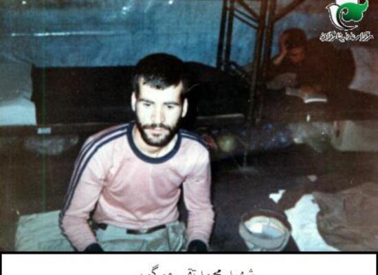 محمدتقی موگویی