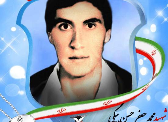 محمدجعفر حسن بیگی