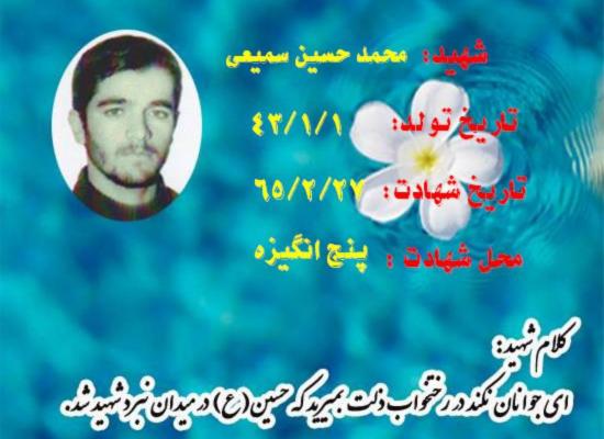محمدحسین سمیعی کرهرودی