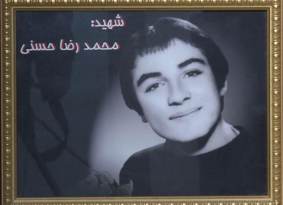 محمدرضا حسنی