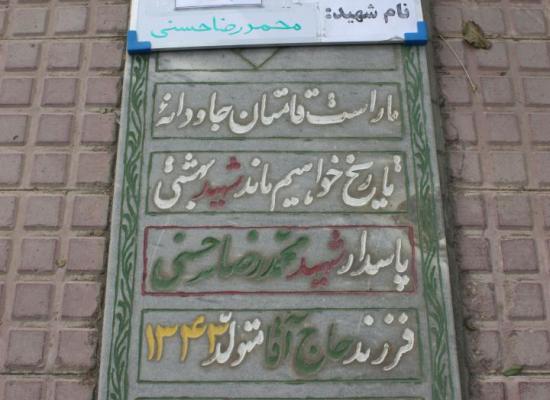 محمدرضا حسنی