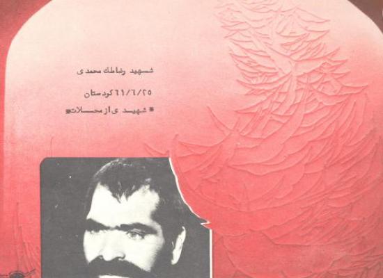 محمدرضا ملک محمدی